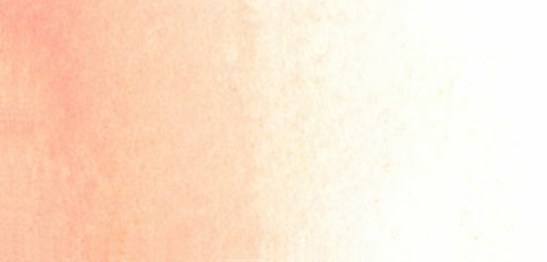 Picture of Mijello Mission Gold Watercolour - 15ml (Series B - Shell Pink - W554)