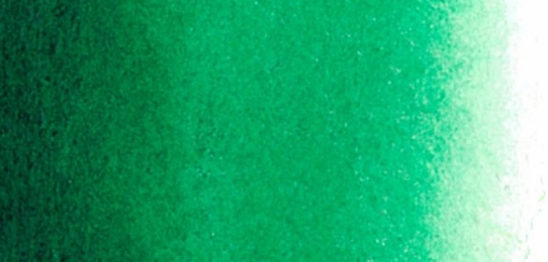 Picture of Mijello Mission Gold Watercolour - 15ml (Series C - Bamboo Green - W584)