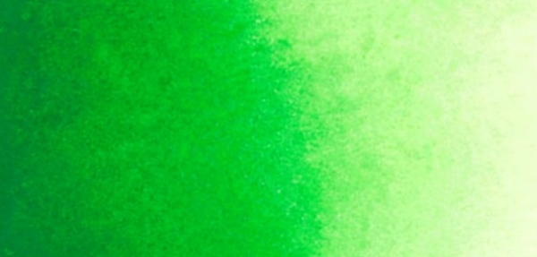 Picture of Mijello Mission Gold Watercolour - 15ml (Series B - Permanent Green - W585)
