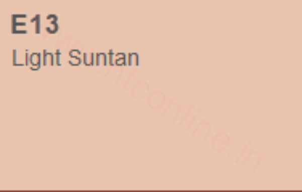 Picture of Copic Marker - Light Suntan (E13)