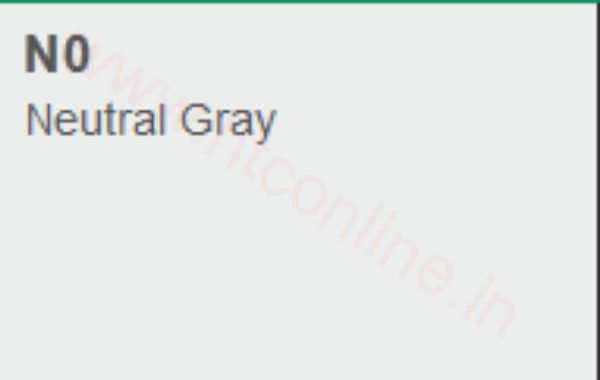 Picture of Copic Marker - Neutral Gray No. 0 (N0)
