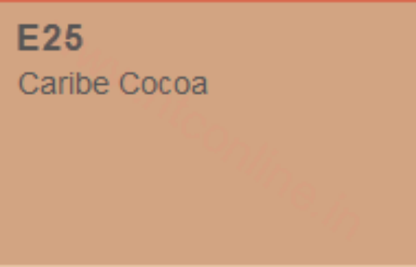 Picture of Copic Marker - Caribe Cocoa (E25)