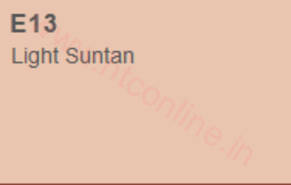 Picture of Copic Marker - Light Suntan (E13)