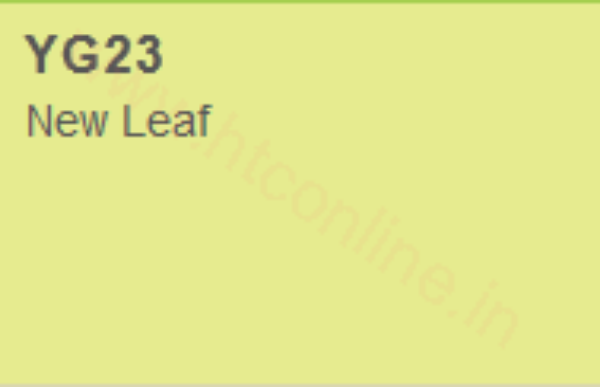 Picture of Copic Marker - New Leaf (YG23)