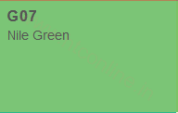 Picture of Copic Marker - Nile Green (G07)