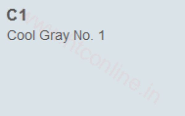 Copic Marker Cool Gray 01 (C1)