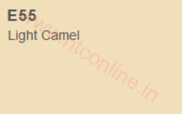 Picture of Copic Marker - Light Caramel (E55)