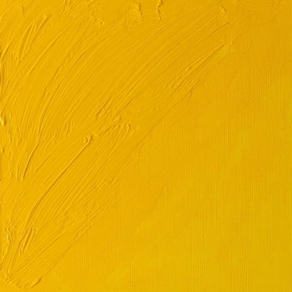 Winsor & Newton Artist Oil Colour Oil Colour