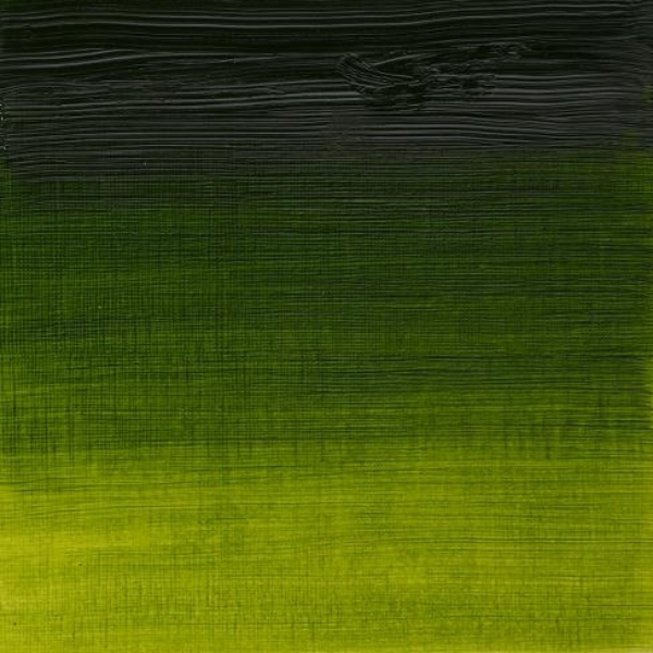 Picture of Winsor & Newton Artist Oil Colour - SR-2 Sap Green 37ml (599)