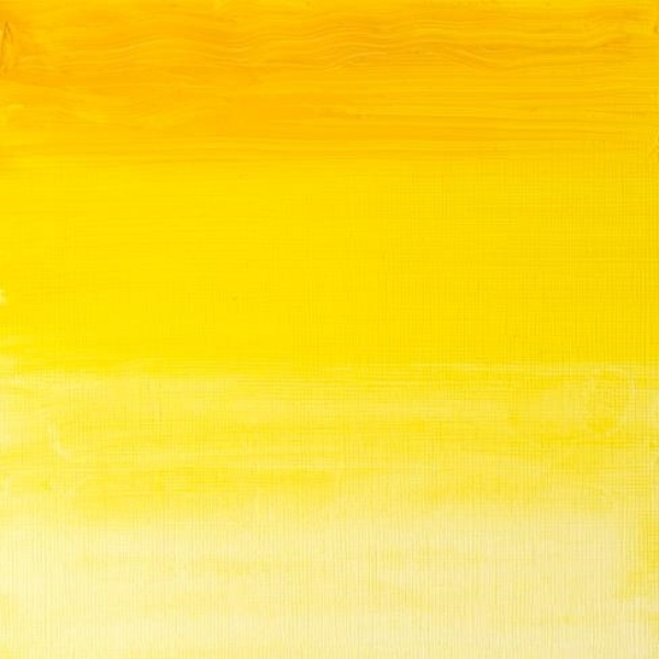 Picture of Winsor & Newton Artist Oil Colour - SR-4 Transparent Yellow 37ml (653)
