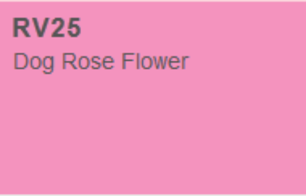 Picture of Copic Marker - Dog Rose Flower (RV25)