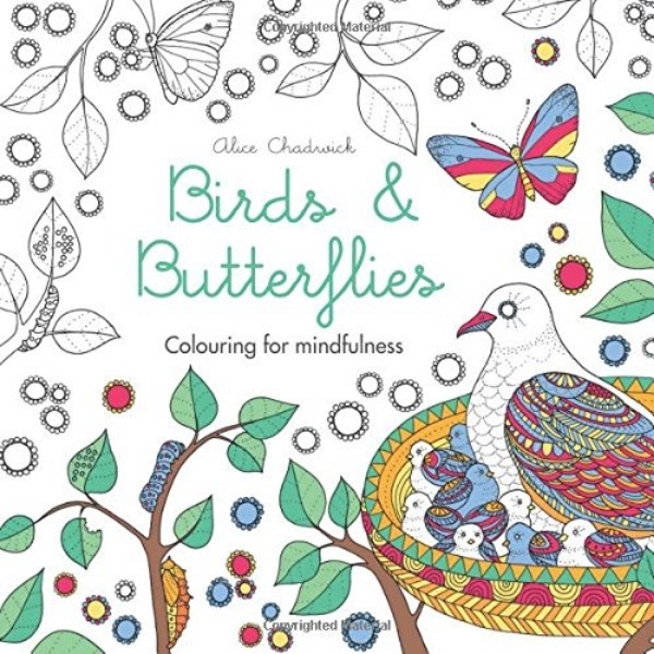 Mindfulness|　Adult　Colouring　Birds　Burrerflies:　For　Colouring　Book|