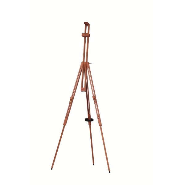 Buy amzdeal Easels for Painting Artist Easel Stand for Adults/Kids,  Lightweight & Adjustable Height Design with Carry Bag for Indoor and  Outdoor Online at desertcartINDIA