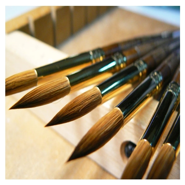 Picture for category Brushes