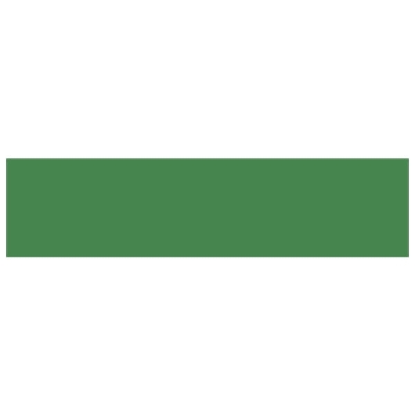 Picture of FLAME Acrylic Spray Paint 400ml Leaf Green FB-632