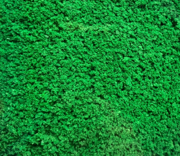 Picture of Grass Powder Light Green