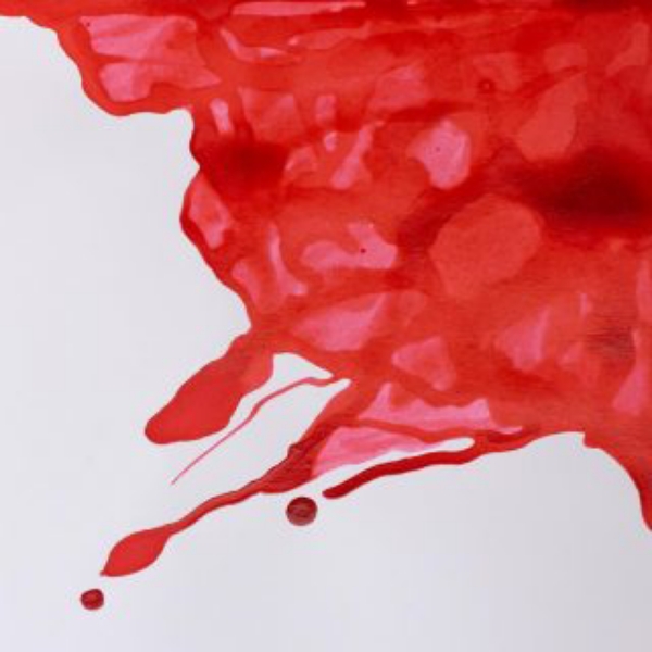 Picture of Winsor & Newton Drawing Ink Scarlet 14ml