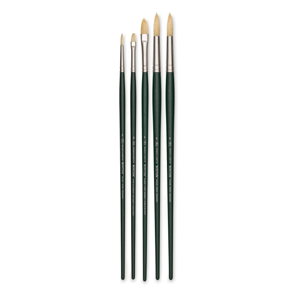 Picture of Winsor & Newton Winton Brushes - Set 5