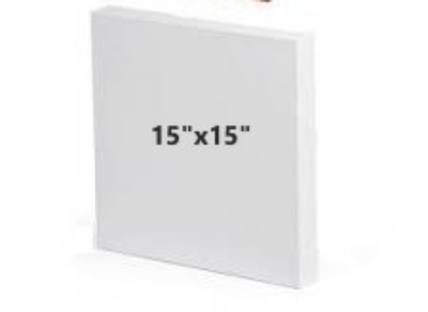 Picture of Hindustan Professional Stretched Canvas 15 x15