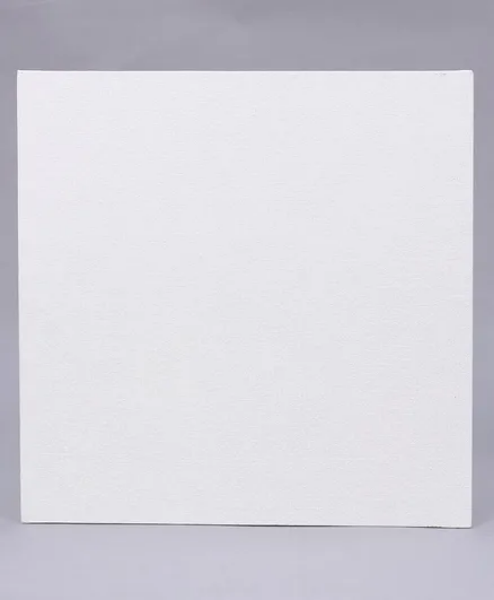 Picture of Hindustan Professional Canvas Board 20x20