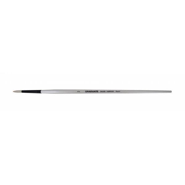 Picture of Daler Rowney Graduate Bristle Long Handle Round Brush - No.2
