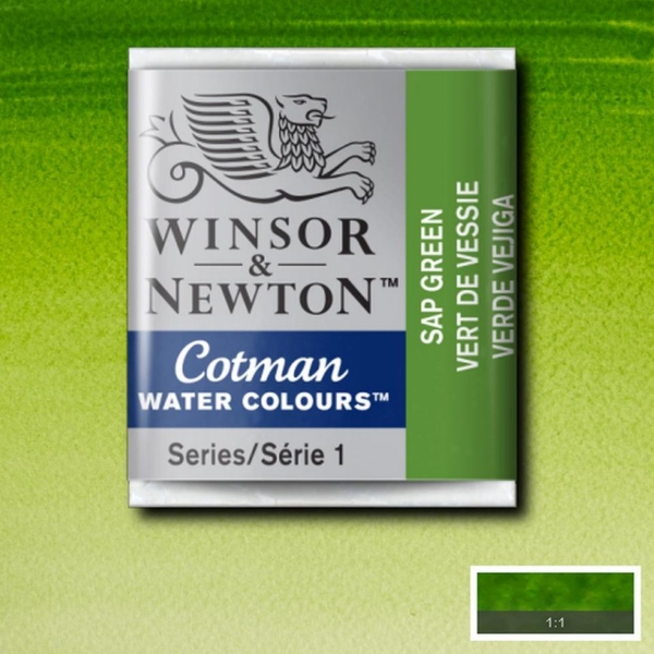 Picture of Winsor & Newton Cotman Water Colour Half Pan Sap Green (SR-1) 
