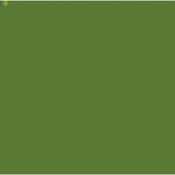 Picture of Camel Artist Watercolour 9ml - SR1 Olive Green (281) 