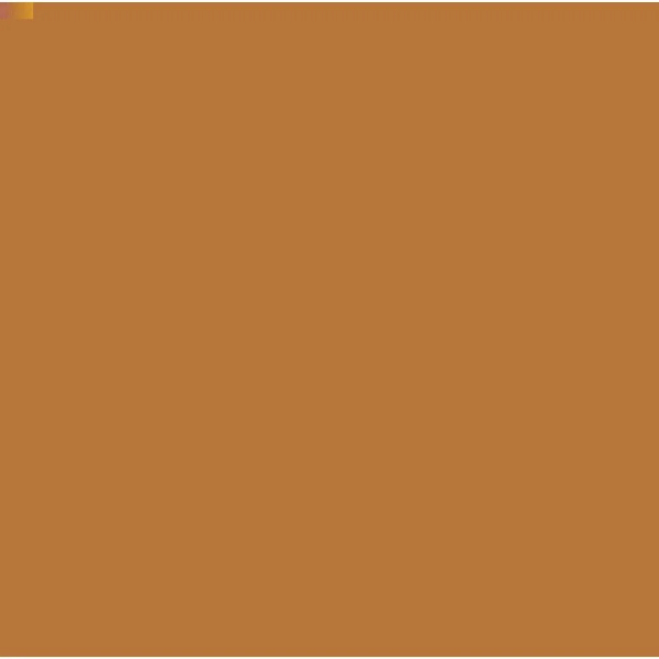 Picture of Camel Artist Watercolour 9ml - SR1 Raw Sienna (366) 
