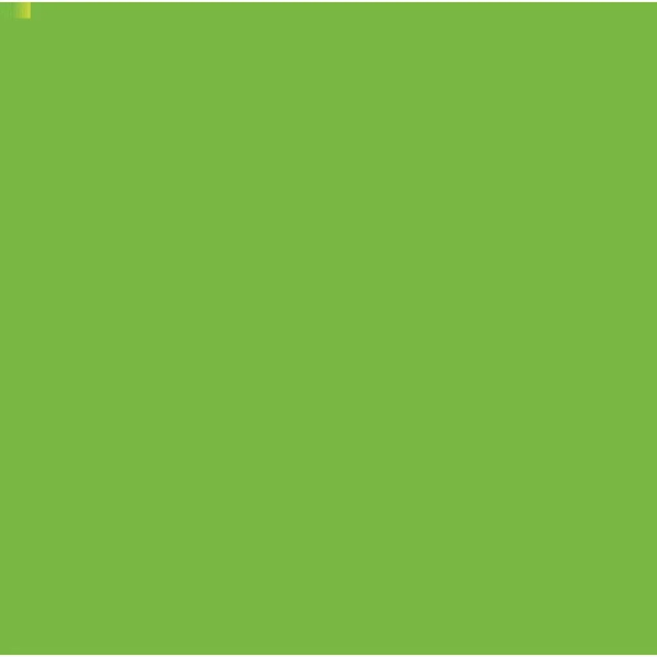 Picture of Camel Artist Watercolour 9ml - SR2 Permanent Green Light (332) 