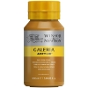 Picture of Winsor & Newton Galeria Acrylic Colour - Raw Sienna Opaque