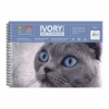 Picture of Anupam Ivory Paper Sketchbook - 20 Sheets (200GSM)
