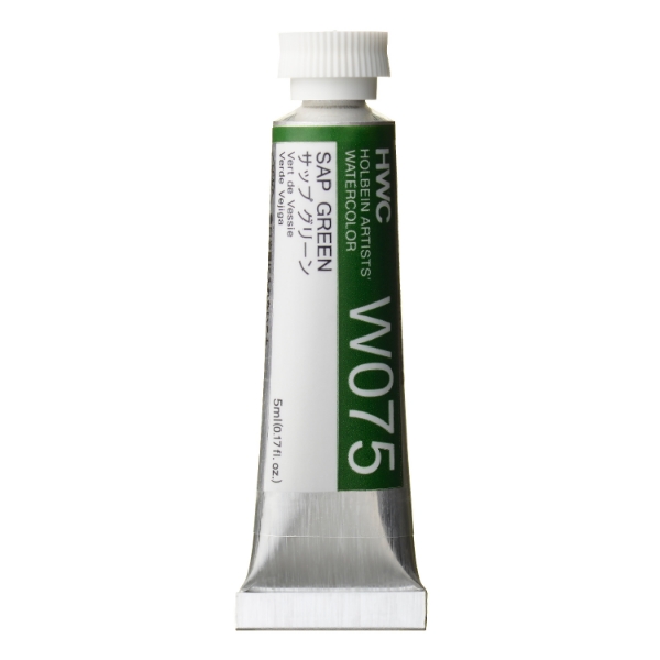 Picture of Holbein AWC Sap Green B 5ml-W075