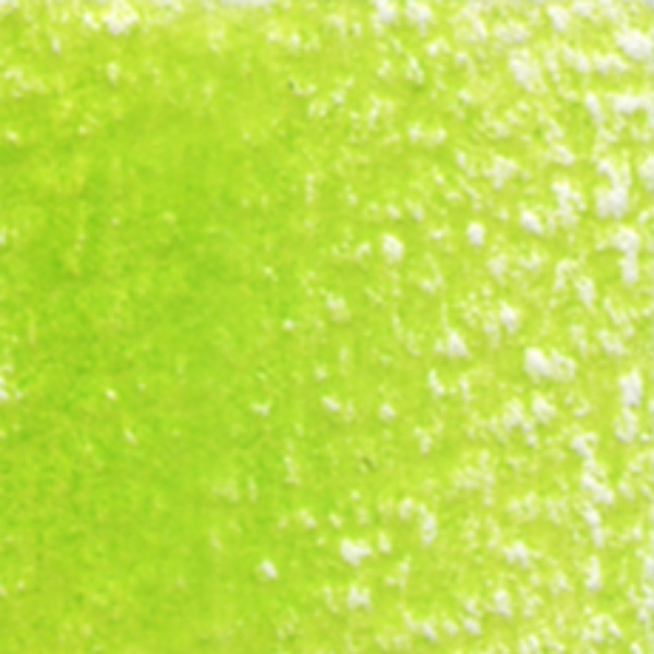 Picture of Holbein Color Pencil Apple Green-OP251