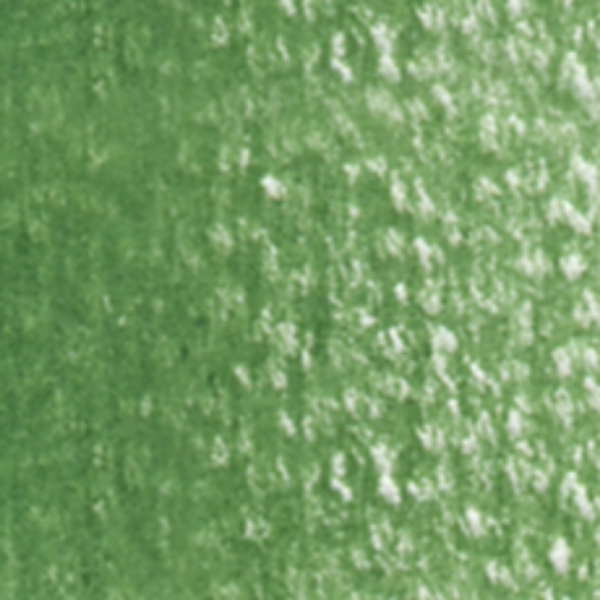 Picture of Holbein Color Pencil Cactus Green-OP292