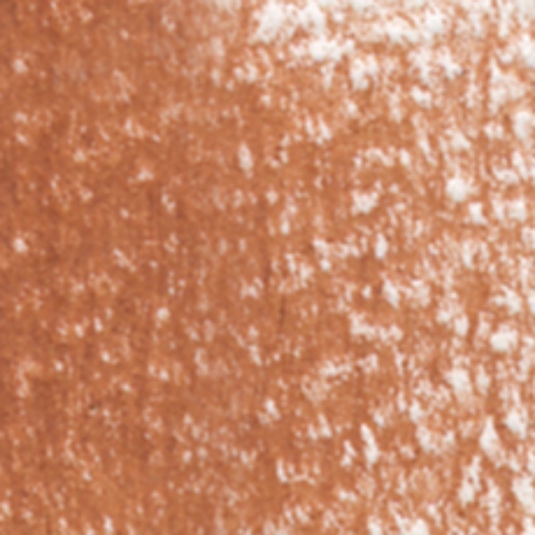 Picture of Holbein Color Pencil Cocoa-OP098