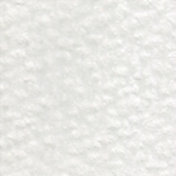 Picture of Holbein Color Pencil Cool Grey 1-OP531