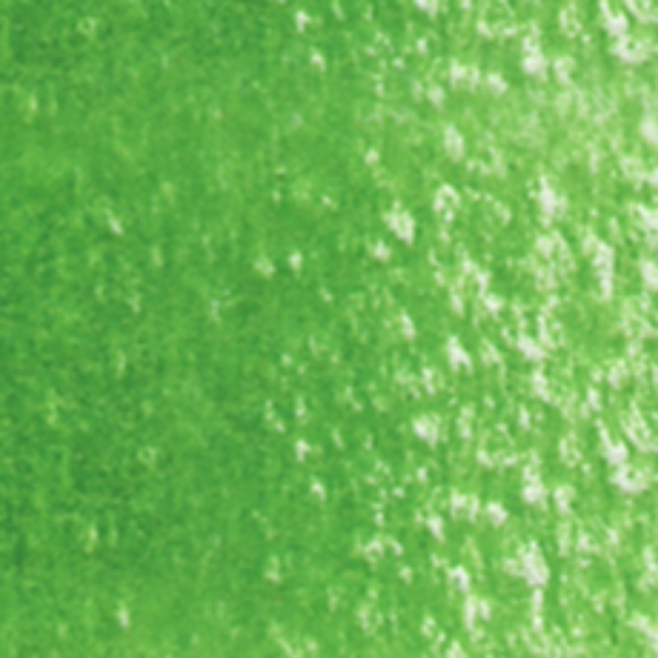 Picture of Holbein Color Pencil Evergreen-OP254