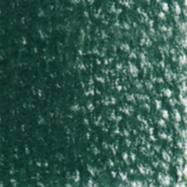 Picture of Holbein Color Pencil Fir Green-OP288