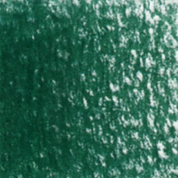 Picture of Holbein Color Pencil Forest Green-OP267