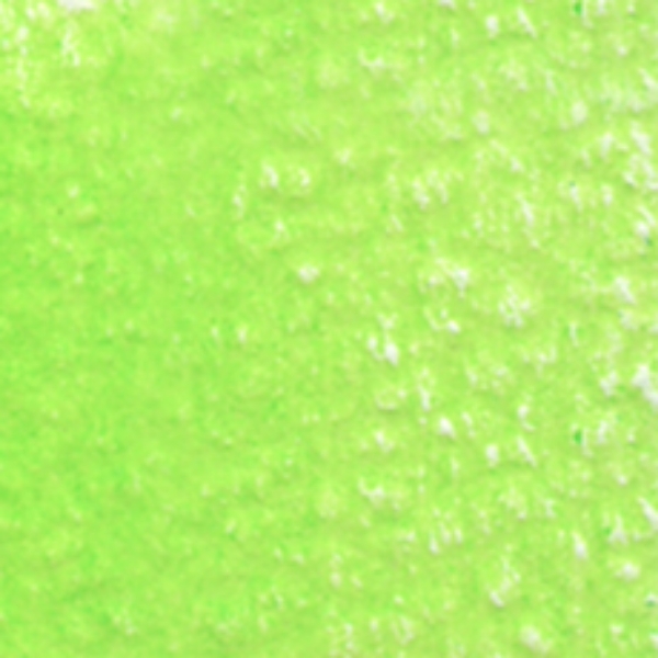 Picture of Holbein Color Pencil Fresh Green-OP243