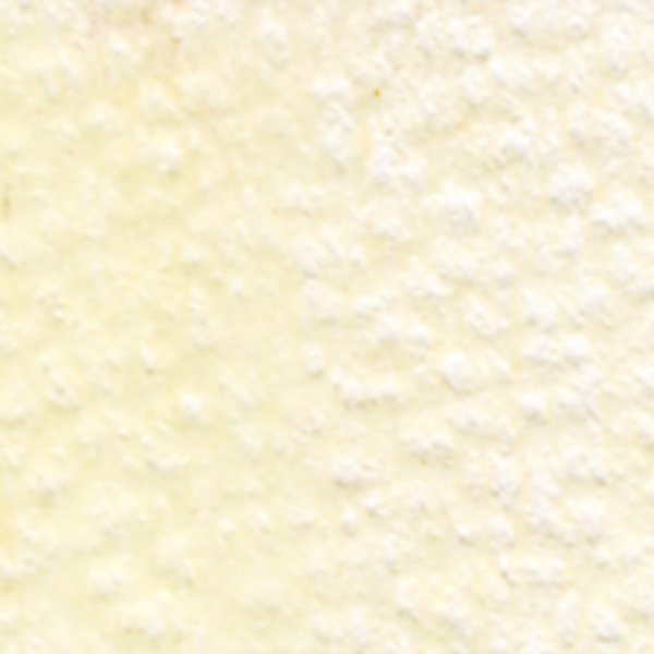 Picture of Holbein Color Pencil Ivory-OP116