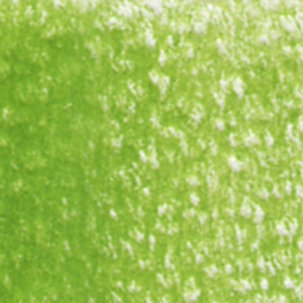 Picture of Holbein Color Pencil Leaf Green-OP291