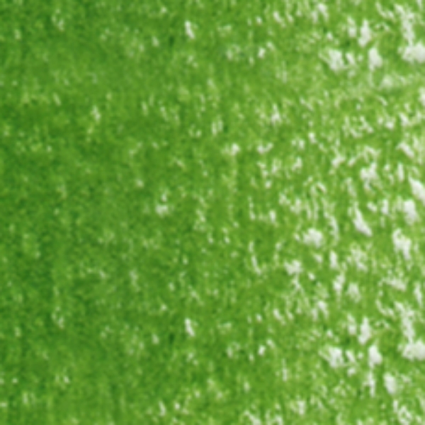 Picture of Holbein Color Pencil Sap Green-OP262