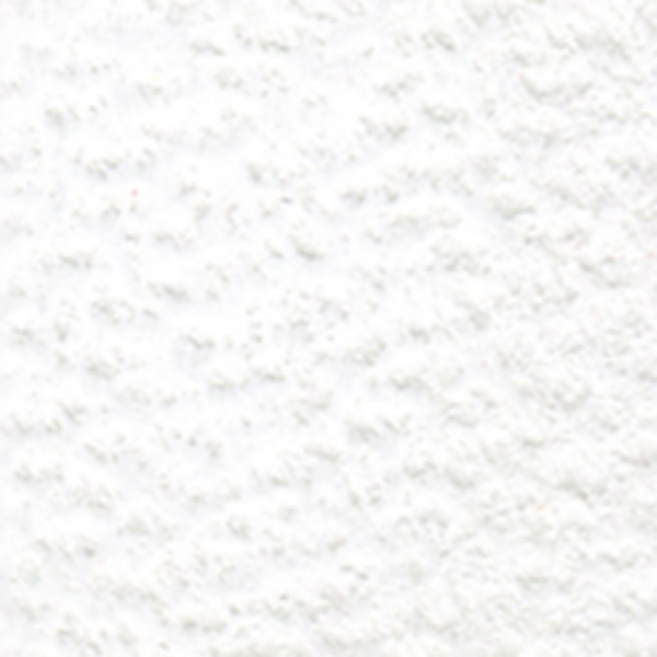 Picture of Holbein Color Pencil Soft White-OP501