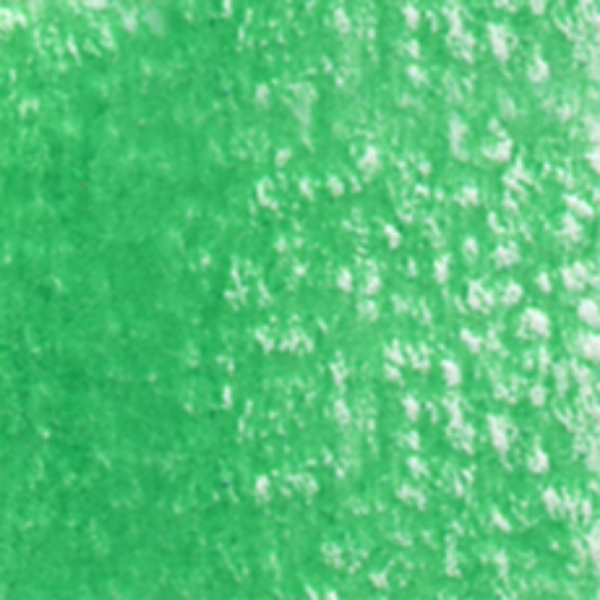 Picture of Holbein Color Pencil Summer Green-OP245