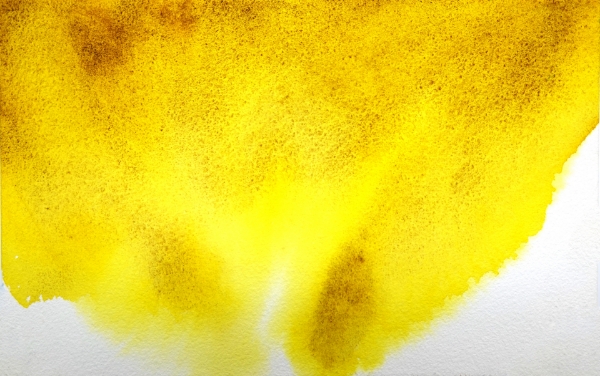 Picture of Mijello Tourmaline Two Tone Granulation Watercolour - Gold Brown Yellow 15ml SR-C (W803)