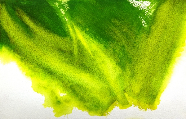 Picture of Mijello Tourmaline Two Tone Granulation Watercolour - Fade Green 15ml SR-D (W831)
